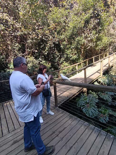 1 Day Garden Route Tour: From Port Elizabeth to the Crags - Introduction