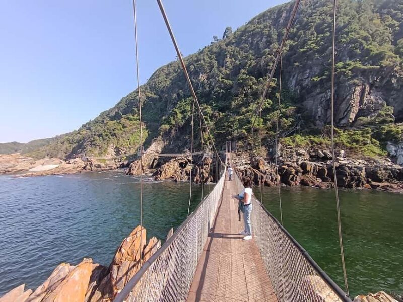1 Day Garden Route Tour: From Port Elizabeth to the Crags - Key Points