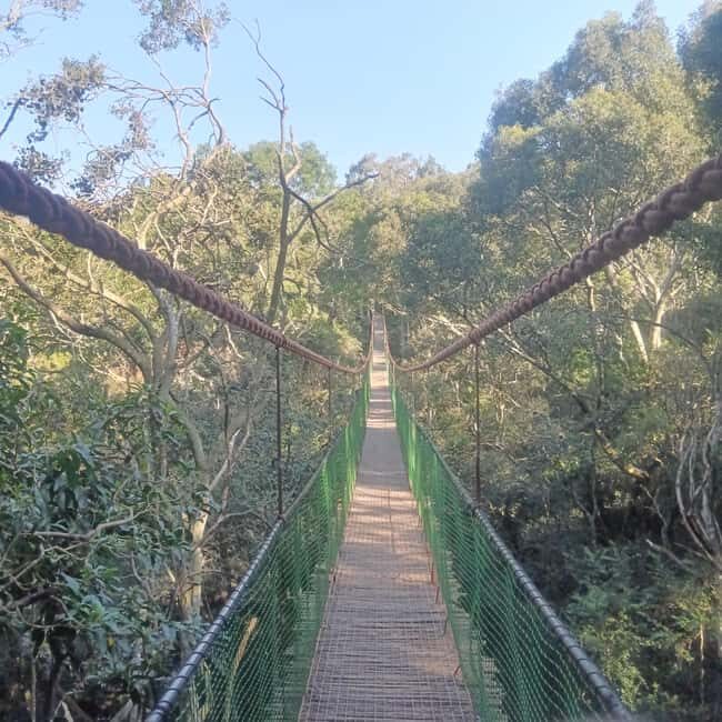 1 Day Garden Route Tour: From Port Elizabeth to the Crags - FAQs
