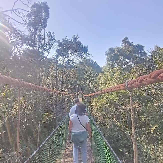 1 Day Garden Route Tour: From Port Elizabeth to the Crags - Final Thoughts