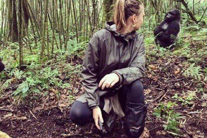 1 Day Gorilla Trekking Rwanda - The Experience: A Detailed Breakdown