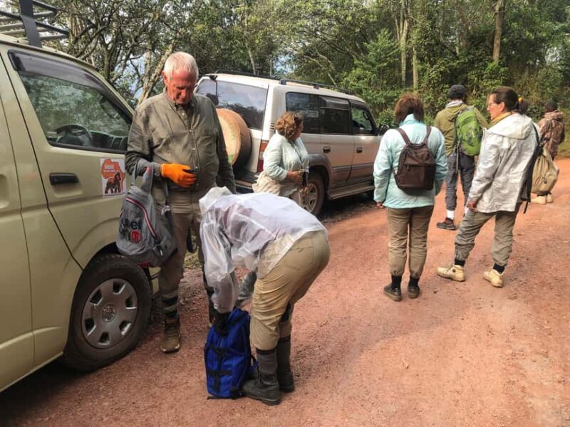 1 Day Gorilla Trekking Tour in Bwindi from Kigali - An In-Depth Look at the Tour Experience