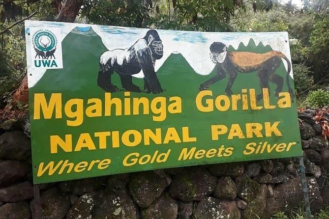 1 Day Gorilla Trekking Uganda - Cross-Border Travel & Visa Considerations