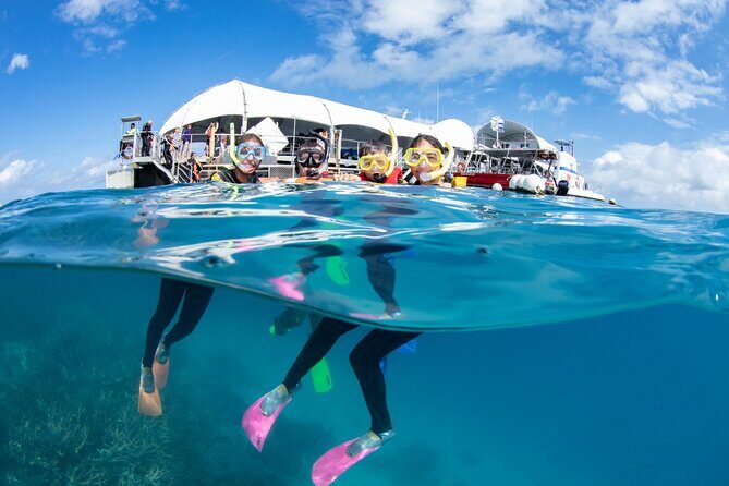 1 Day Great Barrier Reef Cruise and 10 Minute Helicopter Flight - Why Choose This Tour?