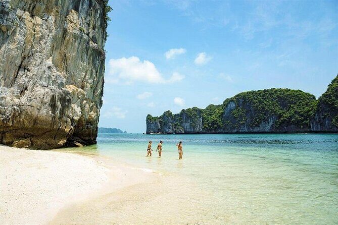 1 Day Halong Bay-Kayaking, Swimming, Cave, Bus, Lunch, Ticket - Who Will Love This Tour?
