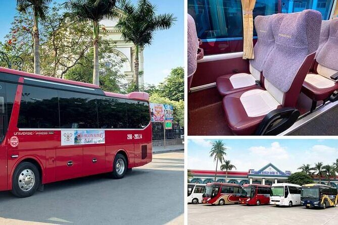 1-Day Halong Bay Tour From Hanoi Express with Dragon King Cruise - What Travelers Are Saying