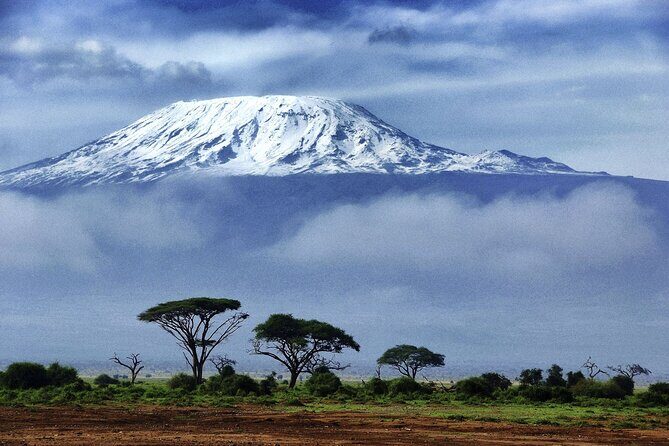 1 Day: Hiking Majestic Kilimanjaro - Key Points