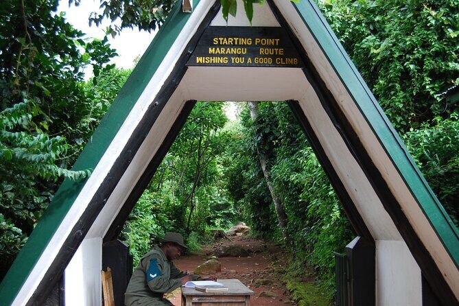 1 Day: Hiking Majestic Kilimanjaro - Who Should Book This?