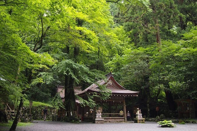 1 Day Hiking Tour in the Mountains of Kyoto - Key Points