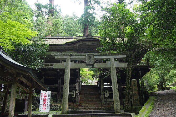 1 Day Hiking Tour in the Mountains of Kyoto - Who Will Love This Tour?