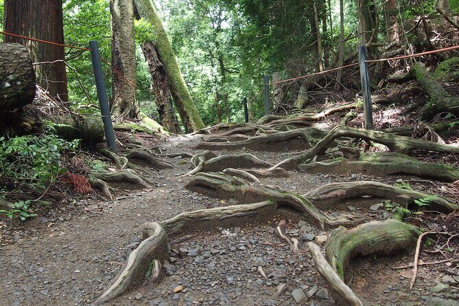 1 Day Hiking Tour in the Mountains of Kyoto - The Sum Up