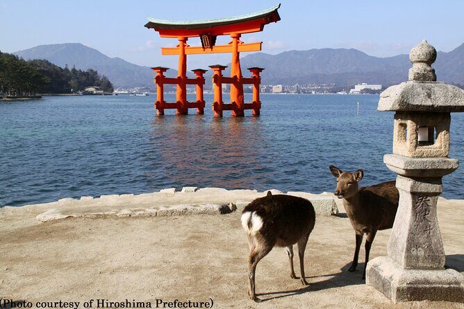 1 Day Hiroshima and Miyajima Tour by Bullet Train from Osaka - Value for Money