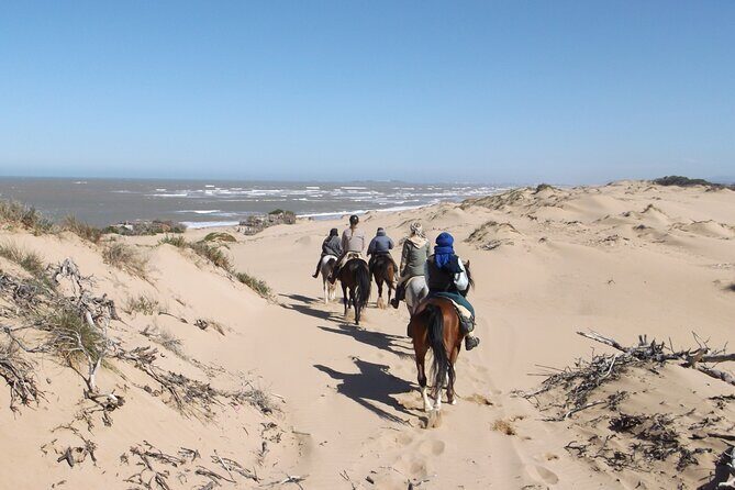 1 day horseback ride with lunch - Midday Break with a Moroccan Lunch