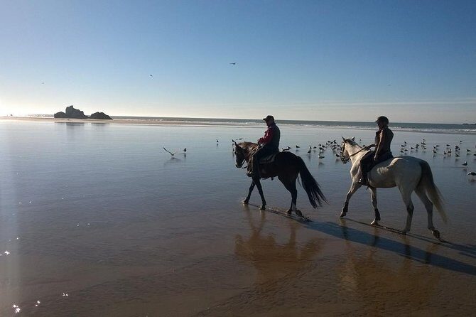 1 day horseback ride with lunch - The End of the Ride
