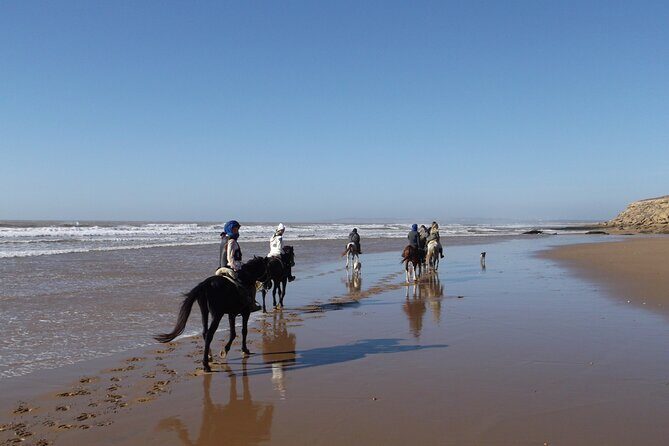 1 day horseback ride with lunch - The Horses and the Guides: Your Trusty Companions