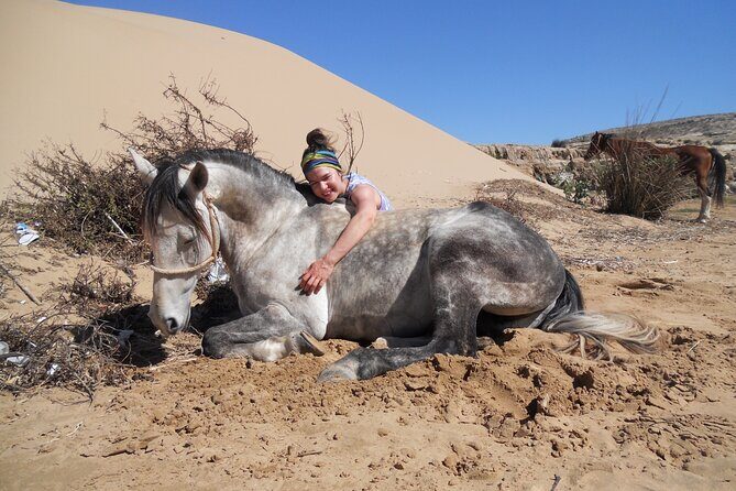 1 day horseback ride with lunch - Group Size and Flexibility