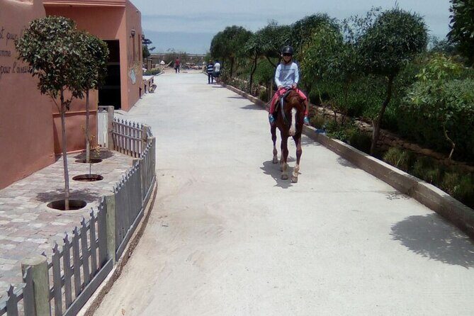 1 day horseback ride with lunch - Pricing and Value