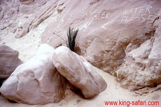1-Day Jeep Excursion from Dahab to Small Colored Canyon - Final Thoughts: Who Will Love This Tour?