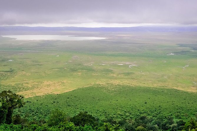 1 Day Joined Group Safari in Ngorongoro Crater National Park - Key Points