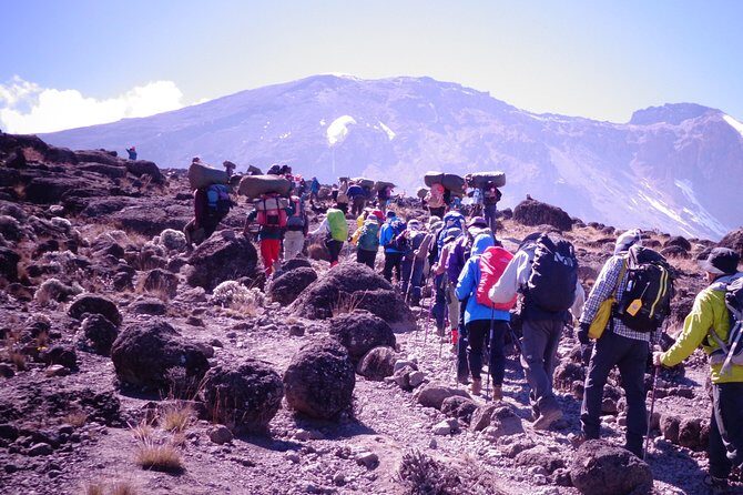 1 Day Kilimanjaro Climb via Machame Route - Authentic Experiences from Travelers