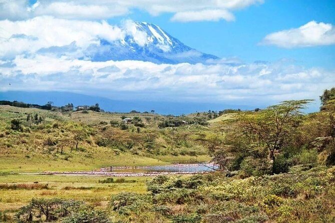 1 Day Kilimanjaro Hiking - Machame Route - Final Thoughts