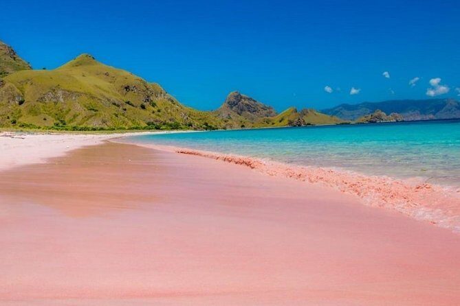 1 Day Komodo Trip by Private Fast Boat - Who Will Love This Tour?