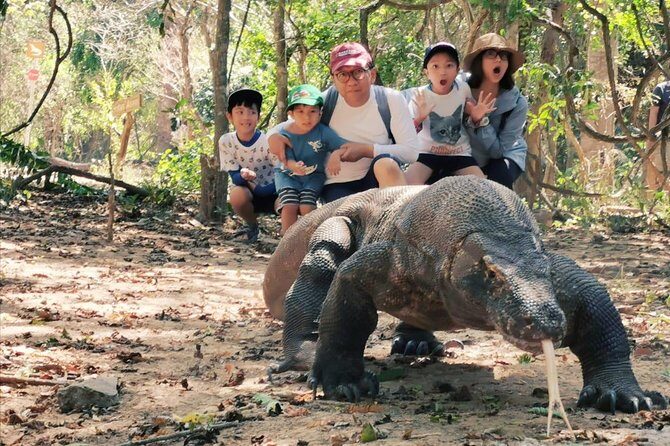 1 Day Komodo Trip By Shared Fast Boat - The Itinerary: A Day in the Park