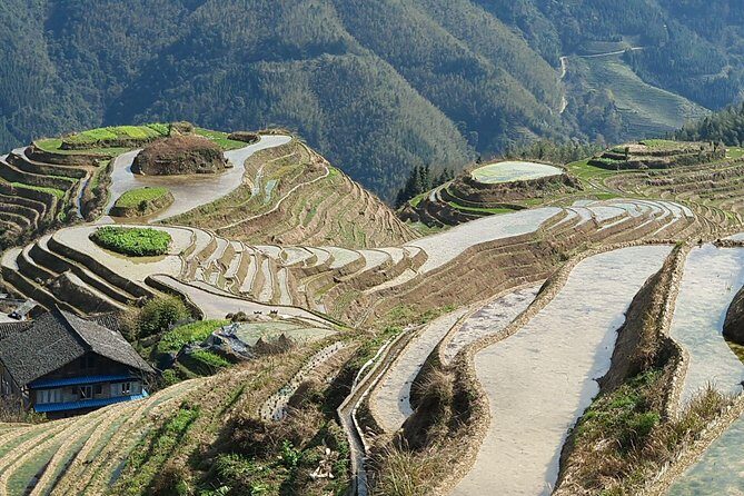 1-Day Longji Terrace Fields-Pingan village Tour with the English Speaking Driver - FAQ