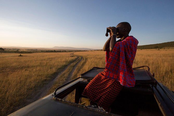 1-Day Maasai Mara Safari - Value and Cost Analysis