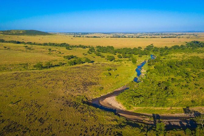 1-Day Maasai Mara Safari - Final Thoughts: Is this Safari Right for You?