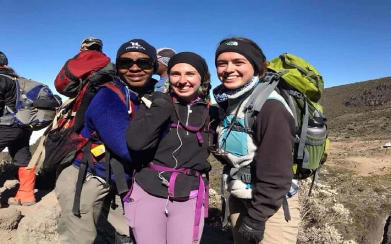 1-Day Marangu Hike Route Joining Group From Arusha/Moshi - The Journey: What You’ll Experience