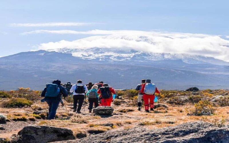 1-Day Marangu Hike Route Joining Group From Arusha/Moshi - FAQs