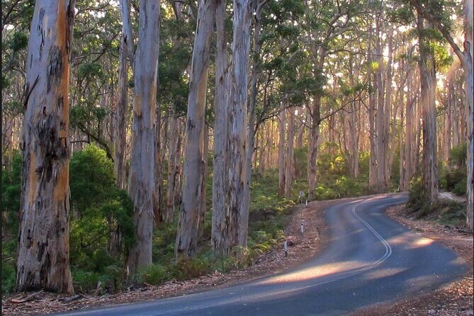 1 Day Margaret River Sightseeing Tour from Perth - Who Should Consider This Tour?