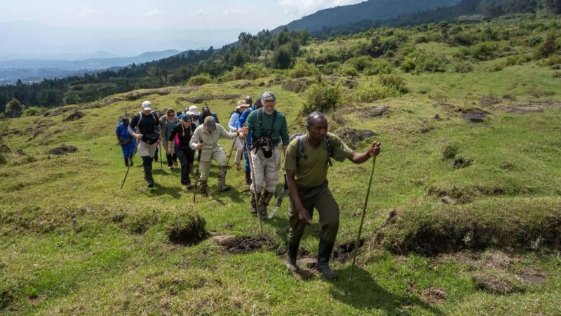 1-Day Mount Bisoke Hiking Adventure - FAQ