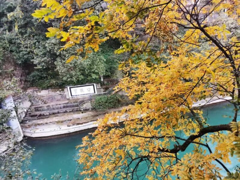 1-Day Mount Qingcheng and Dujiangyan Irrigation System Tour - Authentic Experiences and Practical Tips