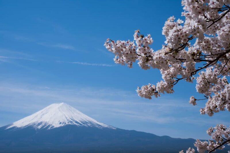 1-Day Mt Fuji and Hakone Sightseeing trip from Tokyo - Key Points