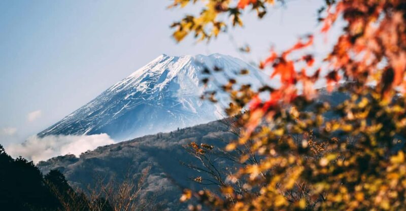 1-Day Mt Fuji and Hakone Sightseeing trip from Tokyo - Authentic Experiences and Real Traveler Insights
