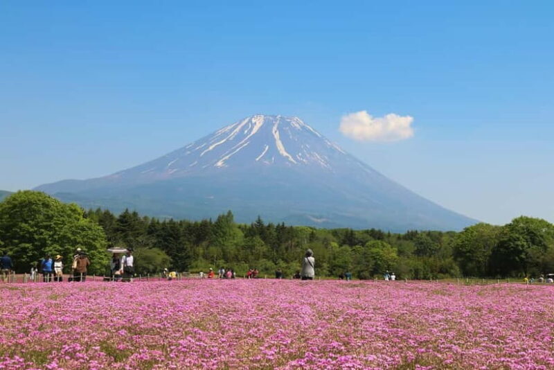 1-Day Mt Fuji and Hakone Sightseeing trip from Tokyo - Who Will Love This Tour?