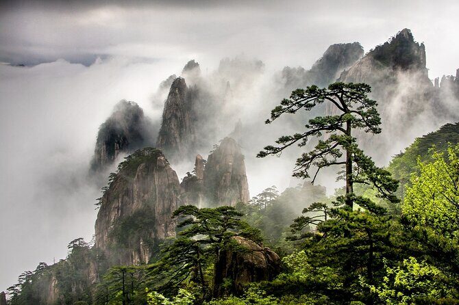 1-Day Mt. Huangshan Tour with Optional Hongcun & Xidi Village - Who Will Love This Tour?