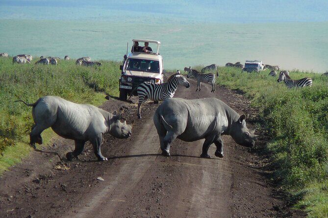 1 Day Ngorongoro Crater Group Jioning Safari - An Impressive Landscape and a Shortcut to Africa’s Wildlife