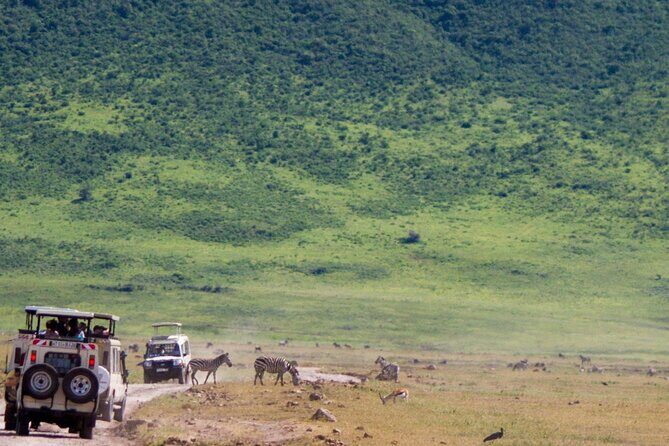1 Day Ngorongoro Crater Group Jioning Safari - What Sets This Tour Apart?
