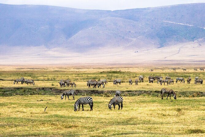 1 Day Ngorongoro Crater Group Jioning Safari - Who Should Consider This Tour?