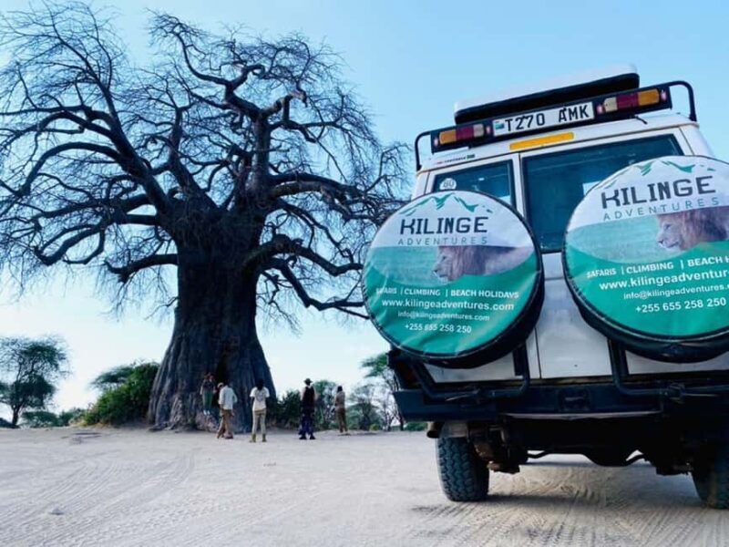 1-Day Ngorongoro Crater Special Big 5- Joining Group Safari - Introduction