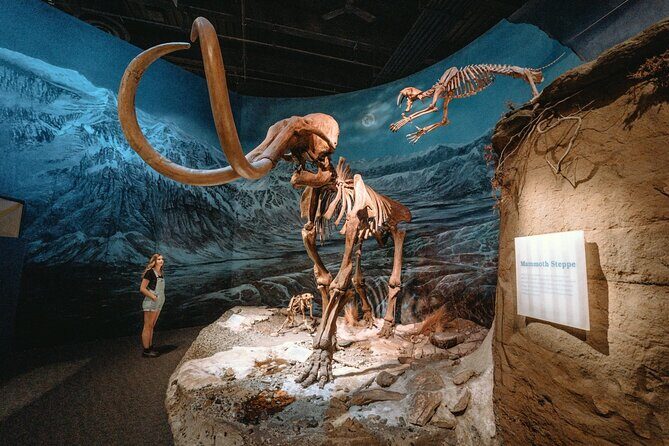 1 Day of Dinosaurs and Hoodoos From Calgary to the Drumheller - An Honest Look at the 1 Day of Dinosaurs and Hoodoos Tour from Calgary