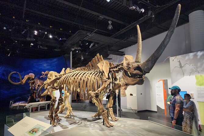 1 Day of Drumheller Dinosaurs and Badlands Guided Group Tour - The Itinerary: What to Expect