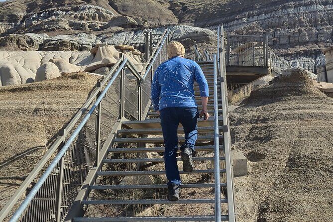 1 Day of Drumheller Dinosaurs and Badlands Guided Group Tour - Pricing and Value