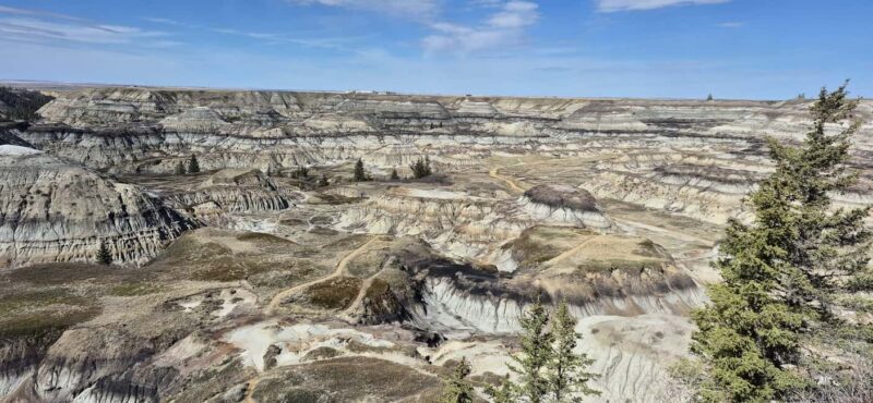 1 Day of Drumheller Dinosaurs and Badlands Guided Tour - Introduction