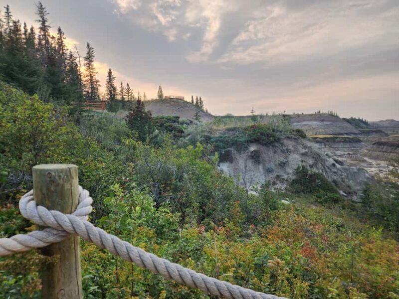 1 Day of Drumheller Dinosaurs and Badlands Guided Tour - Key Points