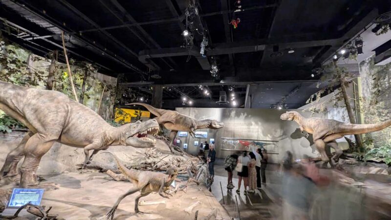 1 Day of Drumheller Dinosaurs and Badlands Guided Tour - What’s Included and What’s Not