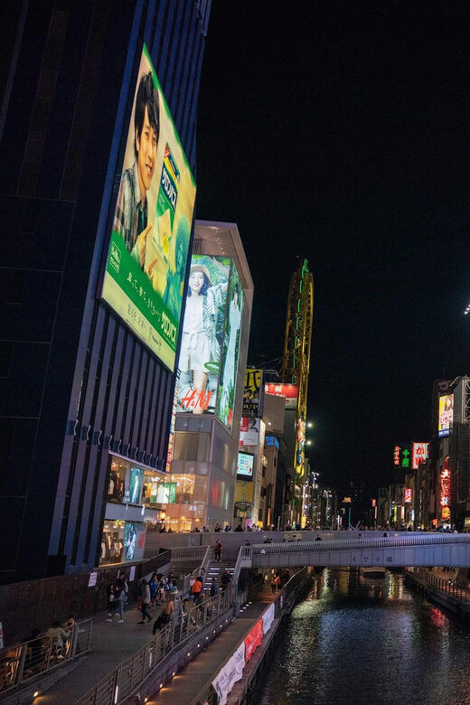 1-Day Osaka to Kyoto: Temples, Castles & Culture Tour - What Travelers Can Expect